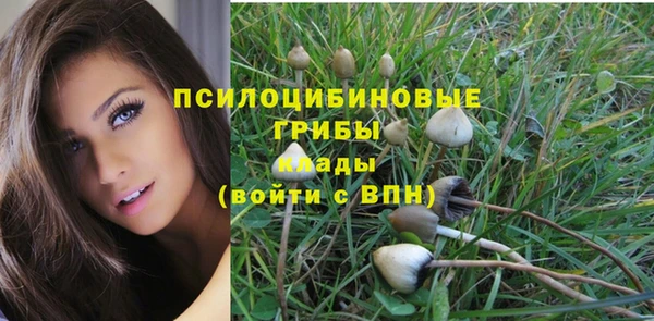 молекула духа Баксан