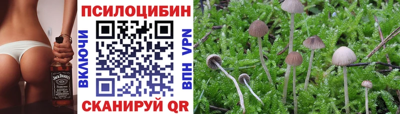 Псилоцибиновые грибы Magic Shrooms  МЕГА ссылки  Лангепас  закладки 